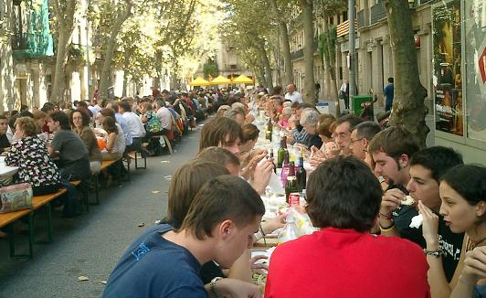 ediacat2005.JPG, 48 KB