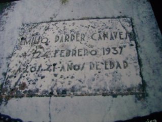 emilidarder01.jpg, 21 KB