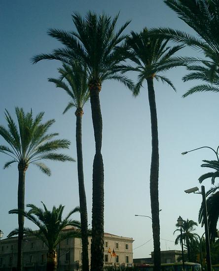 aROOSVELT2005.JPG, 43 KB