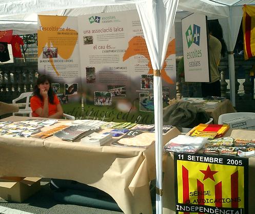 adiacat2005b.JPG, 48 KB