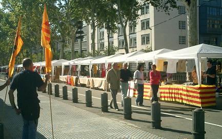 adiacat2005i.JPG, 35 KB