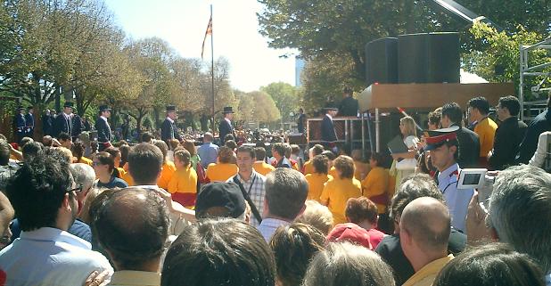 ddiacat2005r (3).JPG, 54 KB