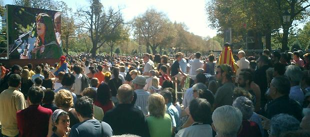 ddiacat2005r.JPG, 44 KB