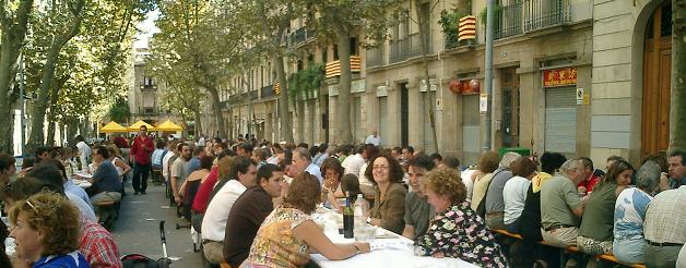 ediacat2005s.JPG, 47 KB