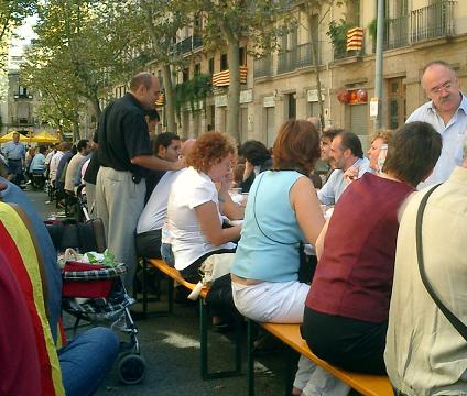 ediacat2005sss.JPG, 38 KB